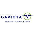 Grupo Gaviota
